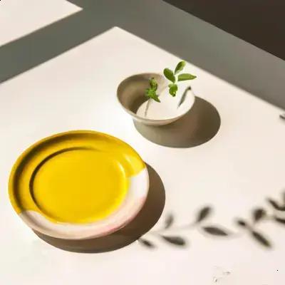 Como Adaptar Planta de Sol para Ambiente de Sombra (É Possível?)