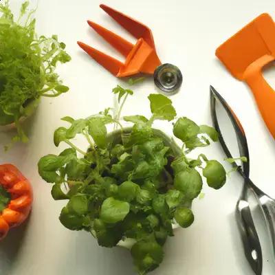 Horta de Temperos em Sombra Parcial: Quais Plantas Funcionam?