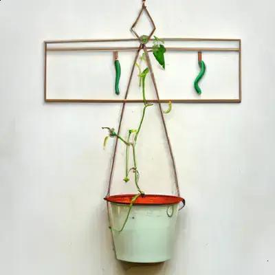 12 Plantas Ideais para Ambientes com Pouca Luz e Fácil Manutenção