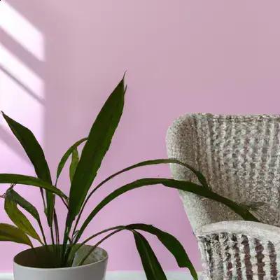 Como Criar um Cantinho Relaxante com Plantas de Sombra na Sala