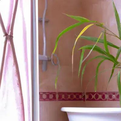 Como Decorar Banheiros Sem Janela com Plantas Resistentes
